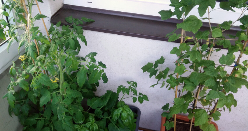 Was ist Coworking Space Balkon Was ist Coworking Space Balkon